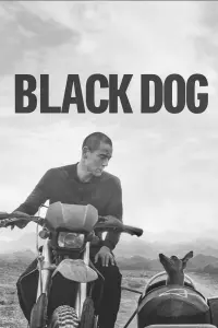 Poster to the movie "Black Dog" #558077