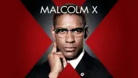 Backdrop to the movie "Malcolm X" #112562