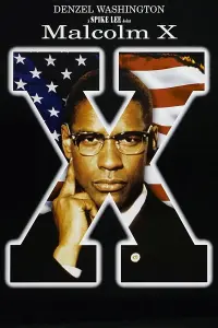 Poster to the movie "Malcolm X" #112572