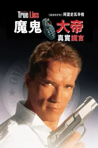 Poster to the movie "True Lies" #657642