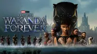 Backdrop to the movie "Black Panther: Wakanda Forever" #4255