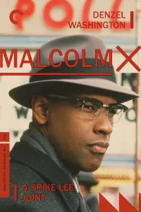 Poster to the movie "Malcolm X" #112583