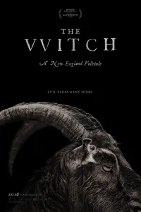 Poster to the movie "The Witch" #66178