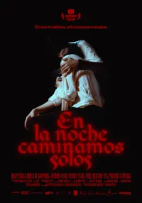 Poster to the movie "En la noche caminamos solos" #608628