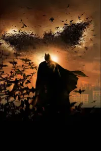 Poster to the movie "Batman Begins" #201309