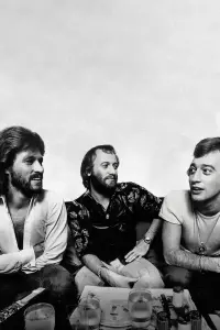 The Bee Gees: How Can You Mend a Broken Heart