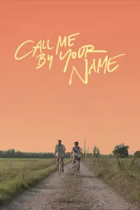 Poster to the movie "Call Me by Your Name" #37223