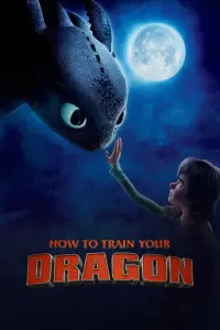 Poster to the movie "How to Train Your Dragon" #23207