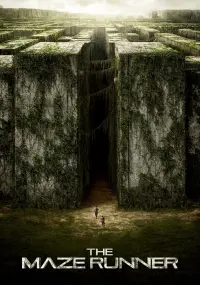 Poster to the movie "The Maze Runner" #7931