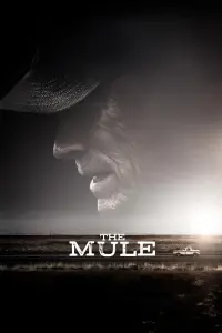 Poster to the movie "The Mule" #69734