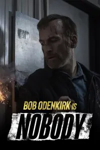 Poster to the movie "Nobody" #35869