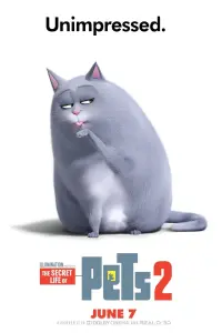 Poster to the movie "The Secret Life of Pets 2" #32683