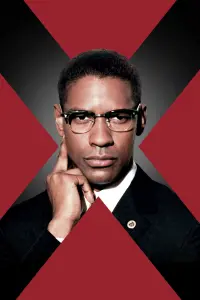 Poster to the movie "Malcolm X" #209247