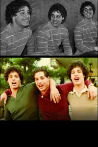 Three Identical Strangers