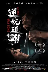 Poster to the movie "逆境追凶" #611457