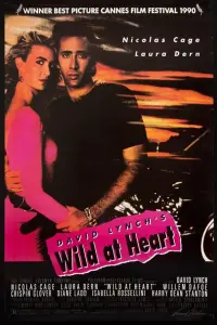 Poster to the movie "Wild at Heart" #134639