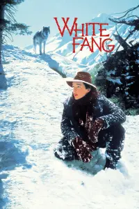 Poster to the movie "White Fang" #122536