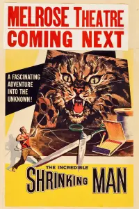 Poster to the movie "The Incredible Shrinking Man" #212668