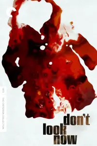 Poster to the movie "Don