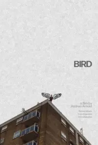 Poster to the movie "Bird" #675460