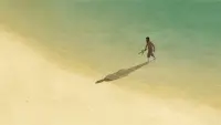 Backdrop to the movie "The Red Turtle" #211915