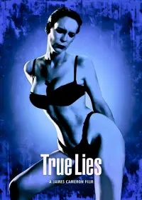 Poster to the movie "True Lies" #488566