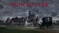 Backdrop to the movie "Winchester" #115176