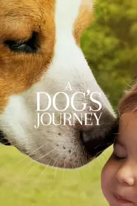 Poster to the movie "A Dog