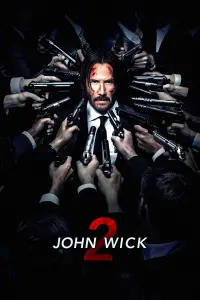 Poster to the movie "John Wick: Chapter 2" #168987