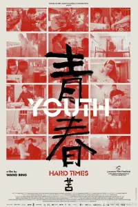 Poster to the movie "Youth (Hard Times)" #559376