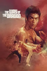 Poster to the movie "The Way of the Dragon" #82863