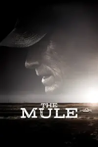 Poster to the movie "The Mule" #69732