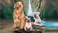 Backdrop to the movie "Homeward Bound: The Incredible Journey" #481564