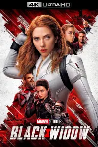 Poster to the movie "Black Widow" #23529