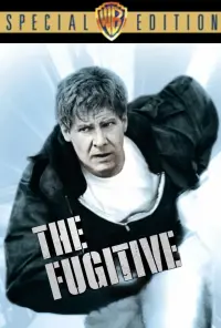 Poster to the movie "The Fugitive" #70100