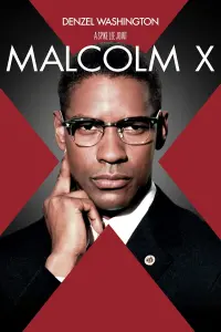 Poster to the movie "Malcolm X" #112577