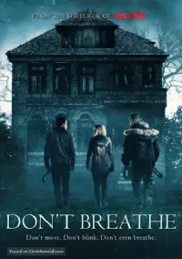 Poster to the movie "Don