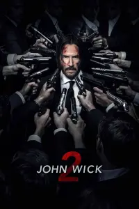 Poster to the movie "John Wick: Chapter 2" #168939