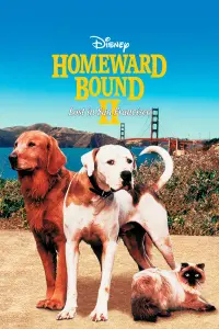 Poster to the movie "Homeward Bound II: Lost in San Francisco" #136063