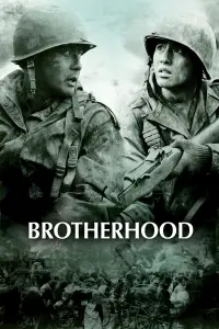 Poster to the movie "Tae Guk Gi: The Brotherhood of War" #180773