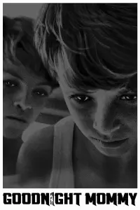 Poster to the movie "Goodnight Mommy" #626481