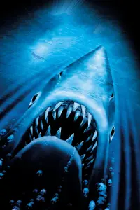 Poster to the movie "Jaws 2" #310344