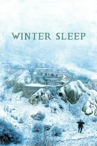 Poster to the movie "Winter Sleep" #206026