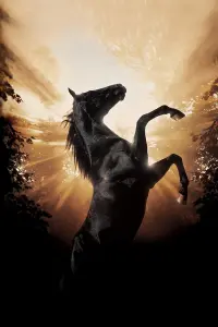 Poster to the movie "Black Beauty" #545746