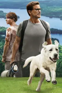 Poster to the movie "Dog Gone" #384472