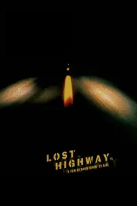 Poster to the movie "Lost Highway" #120870