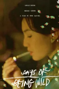 Poster to the movie "Days of Being Wild" #144105