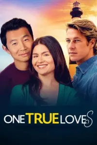 Poster to the movie "One True Loves" #140349