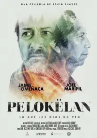 Poster to the movie "Pelokëlan" #562893