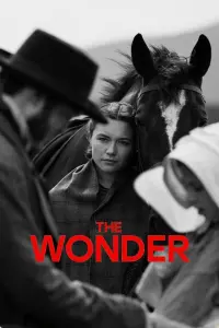 Poster to the movie "The Wonder" #273587